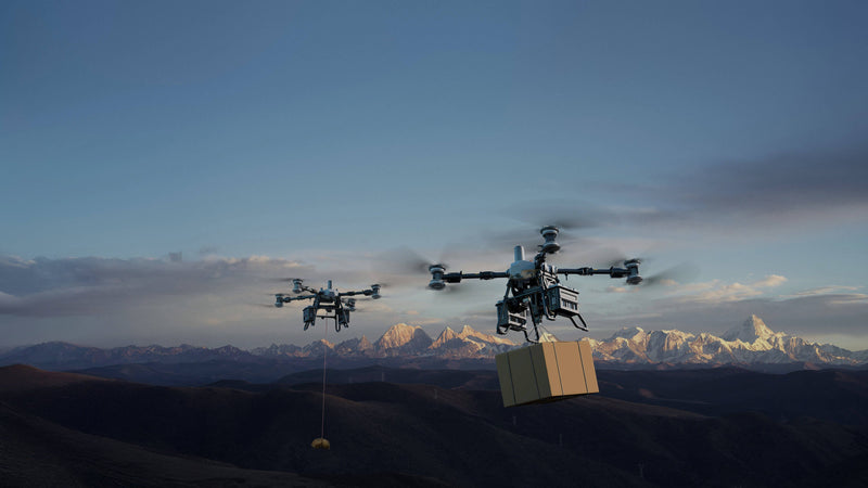 Gamme DJI FlyCart 100