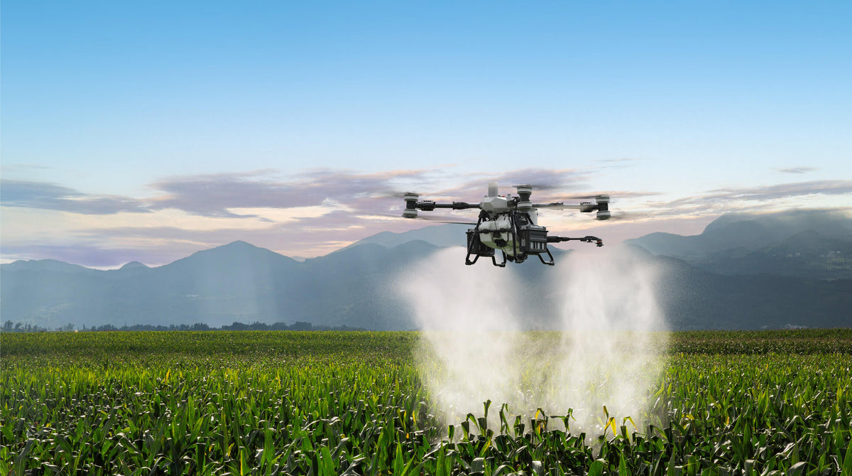DJI Agras T100 - Système de pulvérisation à double batterie – en pulvérisation au-dessus d’un champ