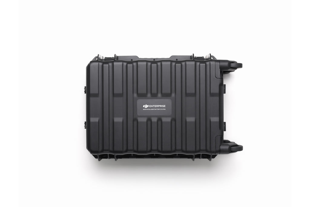 Station de batteries intelligentes BS100