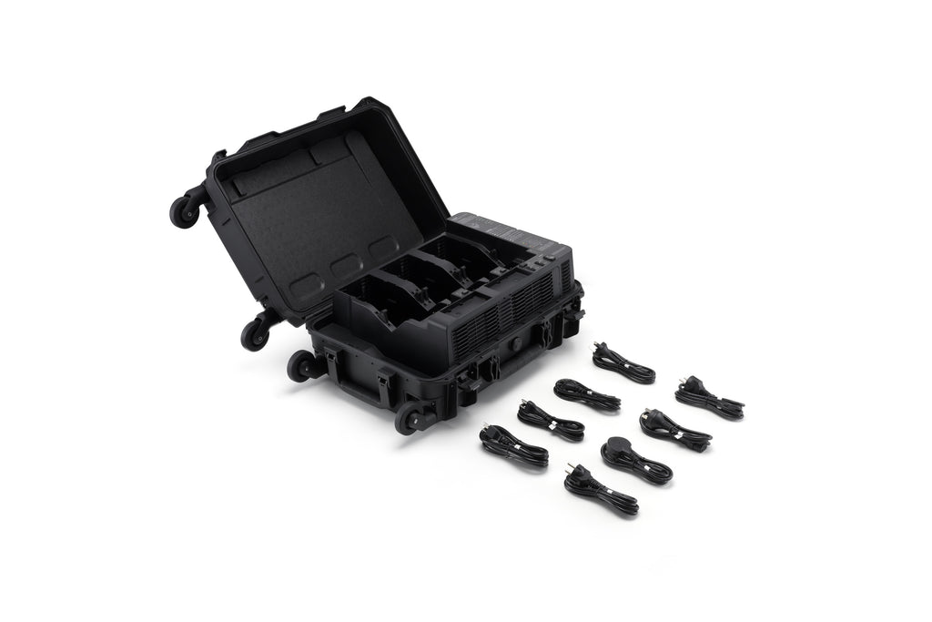 Station de batteries intelligentes BS100